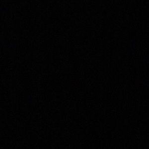 Meet your Posher, Bonnie